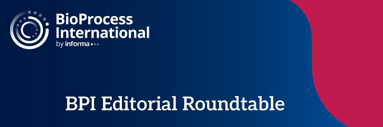 BPI_Roundtable_Banner